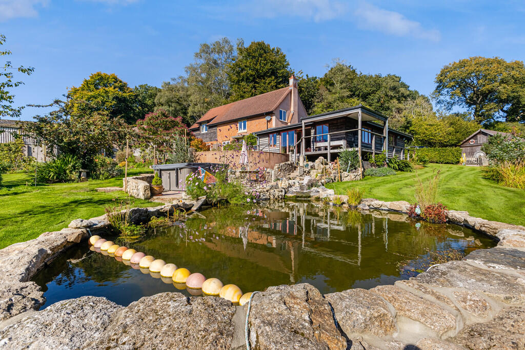 A10 - Cuckoo Down...