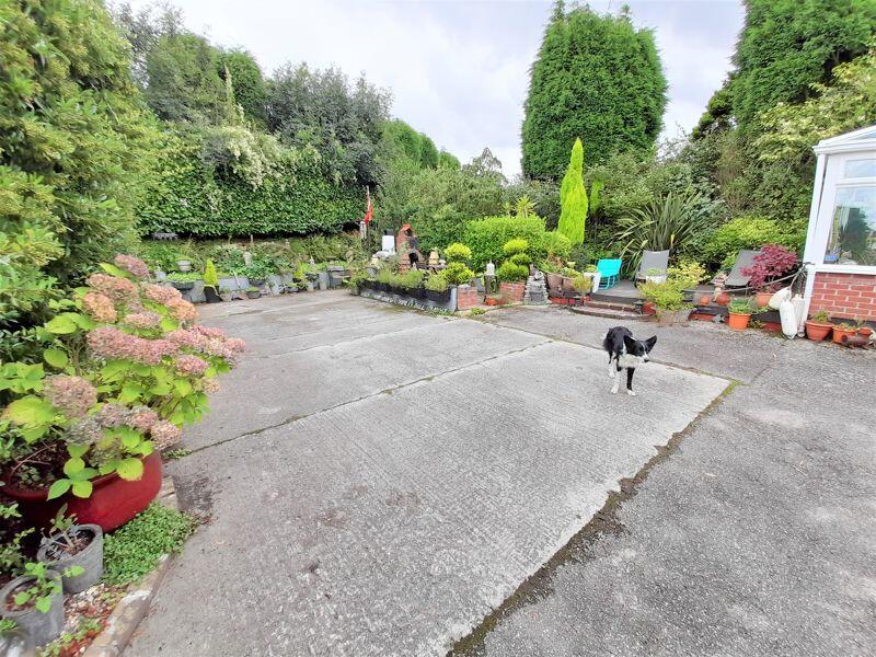 Garden (Dog Not Included)!