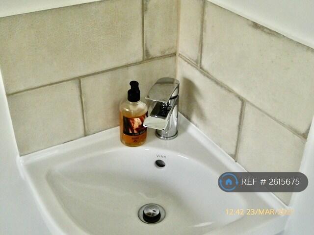 Cloak Room Sink
