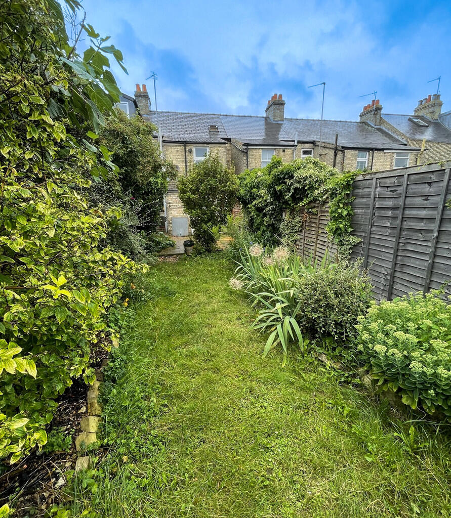 Garden (2)