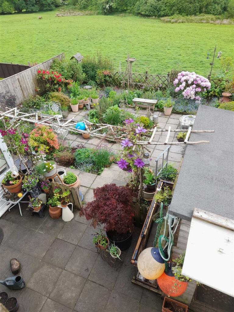 Garden 4.jpg
