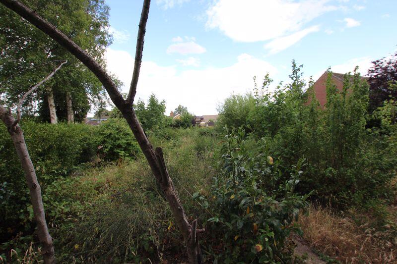 Grounds