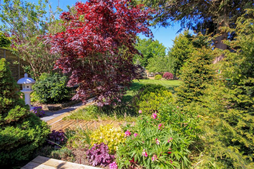 Garden 2.jpg