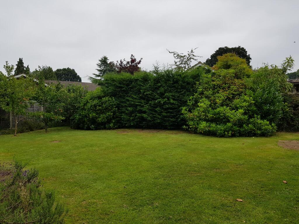 Read Garden