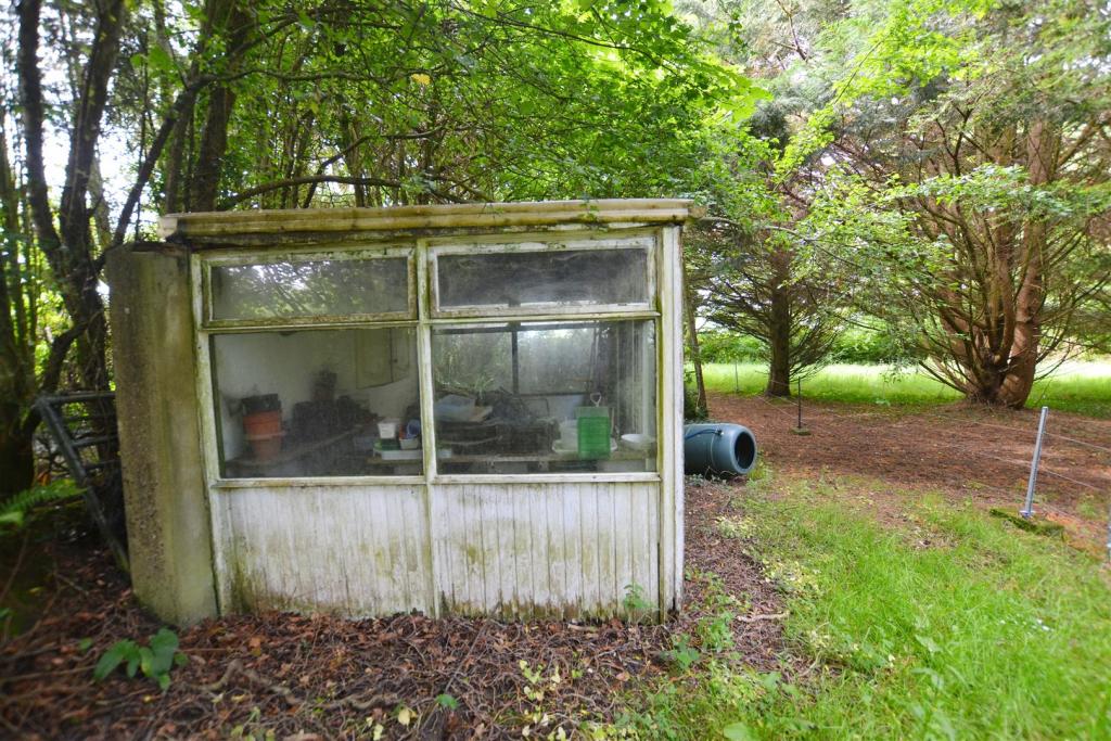 garden shed.JPG