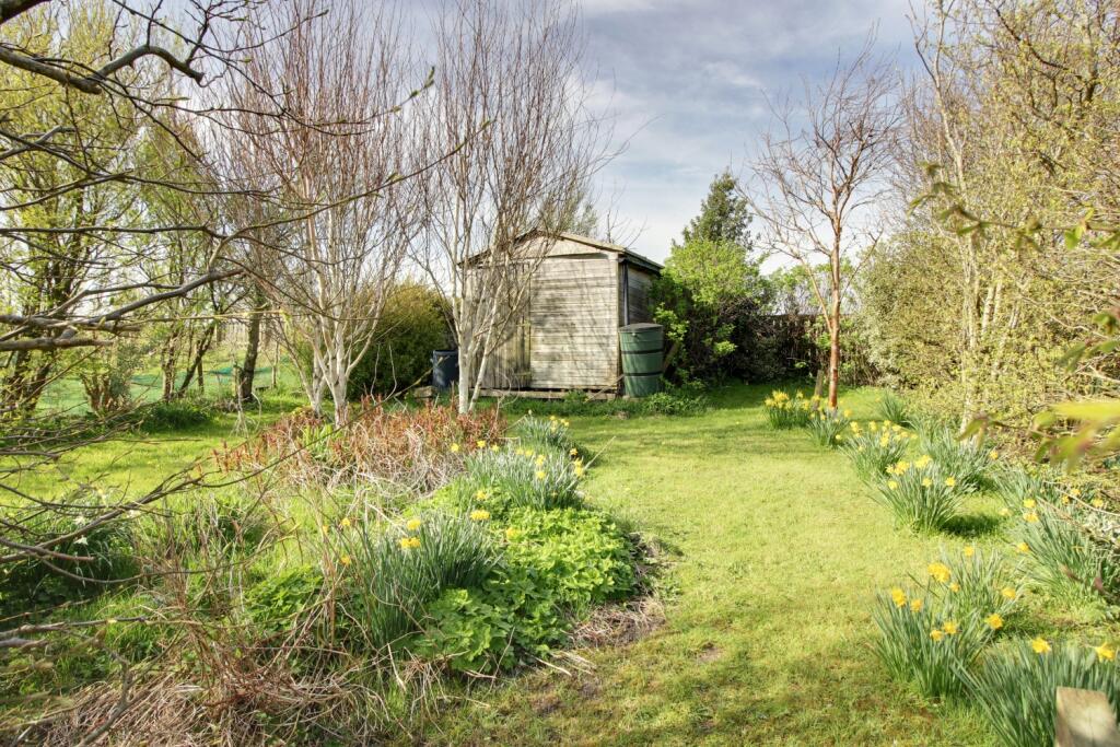 Back Garden