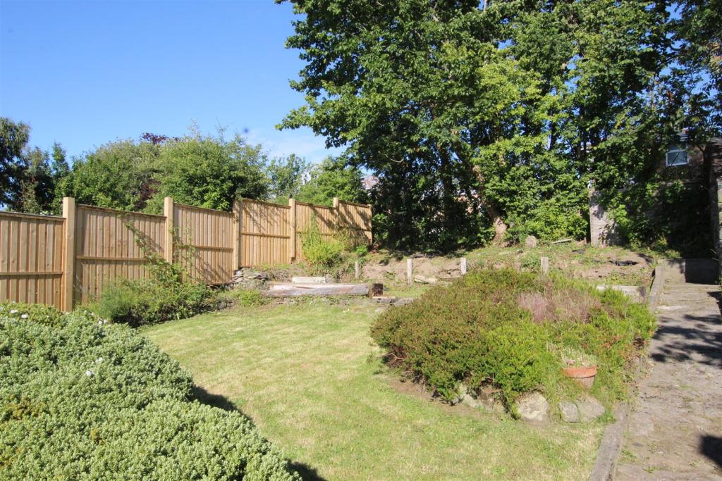 garden 3.JPG