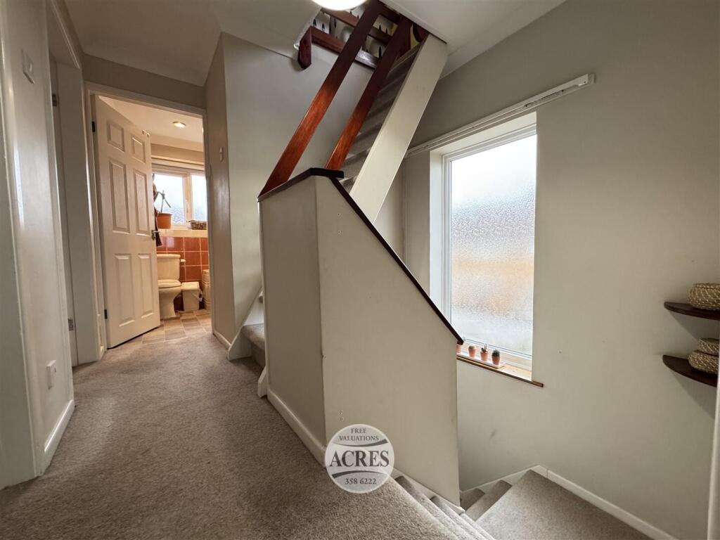 IMG_8668 (Large).jpg