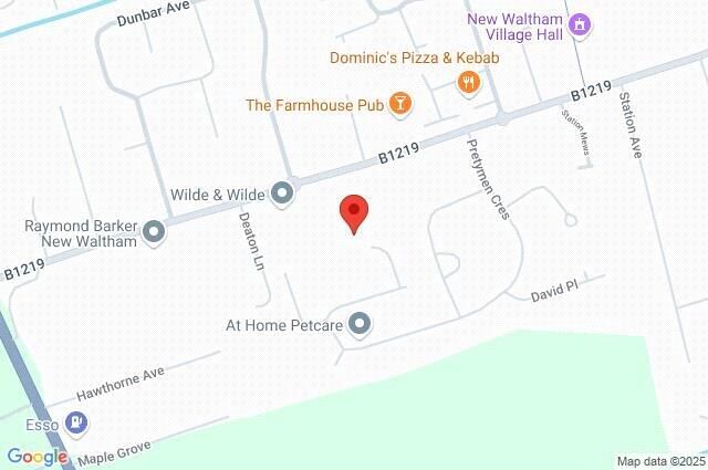 Google Maps Image