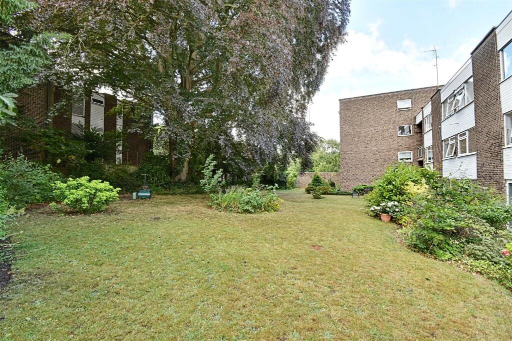 Garden 3.jpg