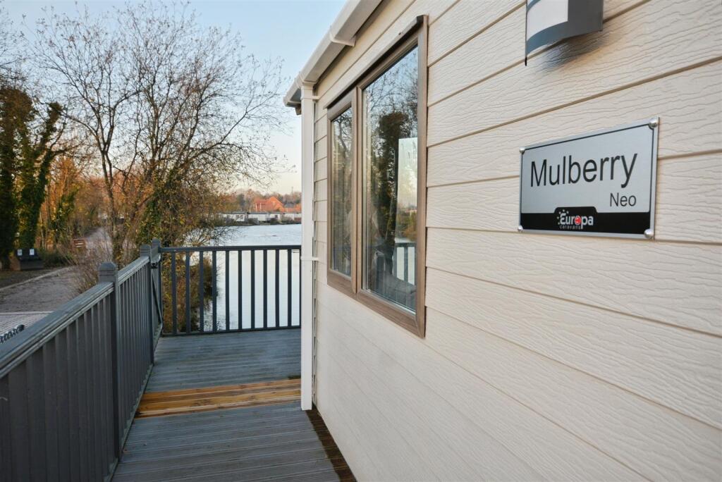 Mulberry Neo