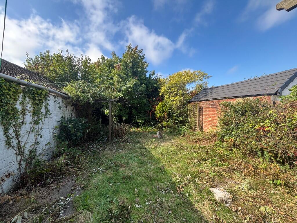 Rear Gardens 