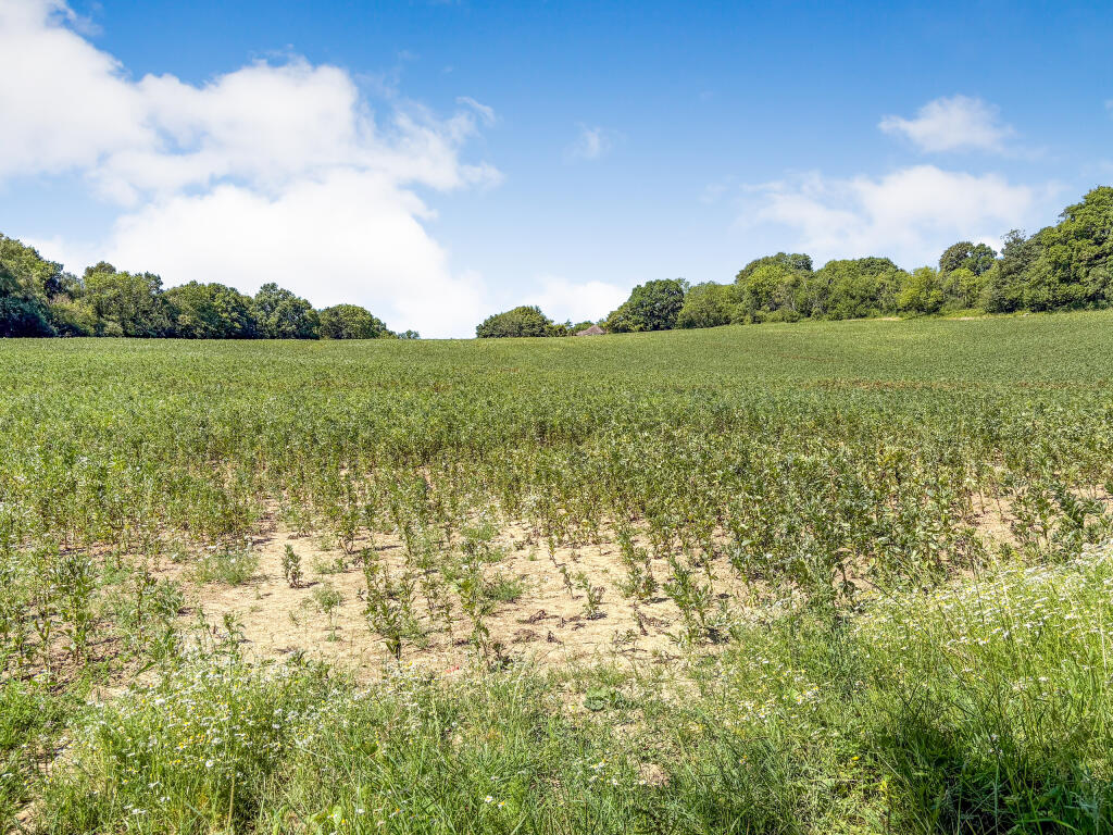 11-07-2025__15-33-47_IMG_0553.L02QZ