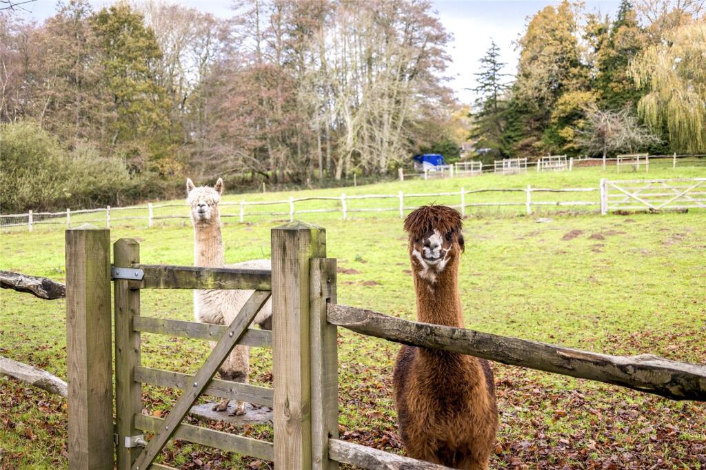Paddocks