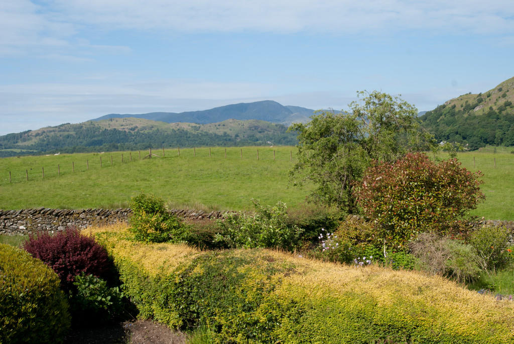 Views from Garden