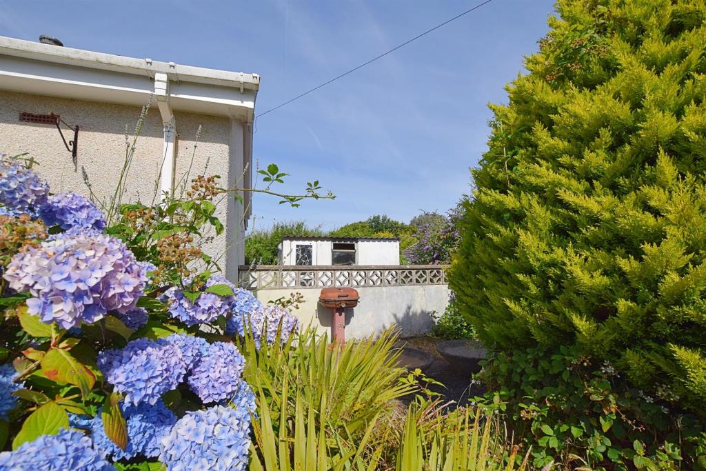 Side Of Property