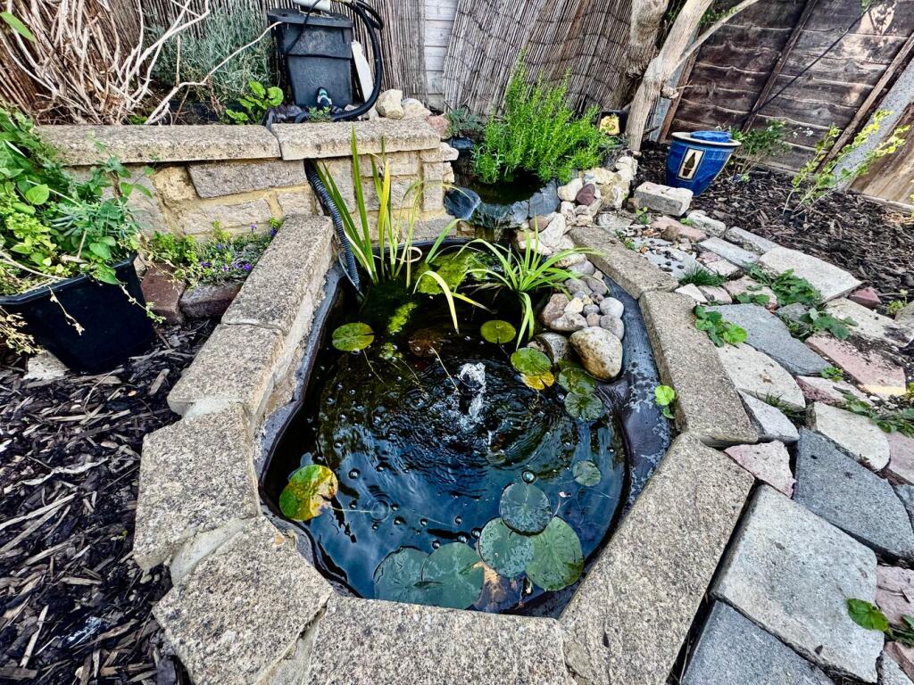 Fish Pond