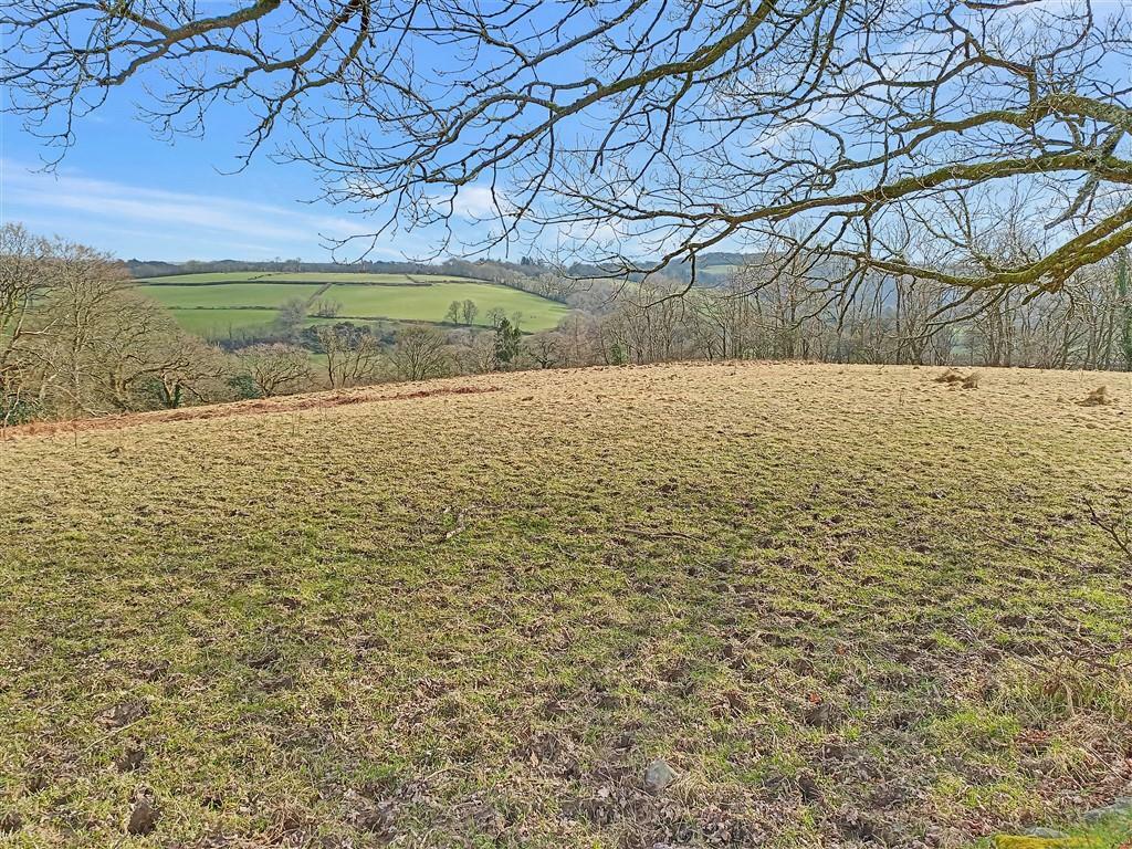 View Of Top Paddock