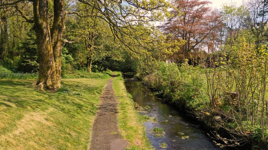 Path at burn