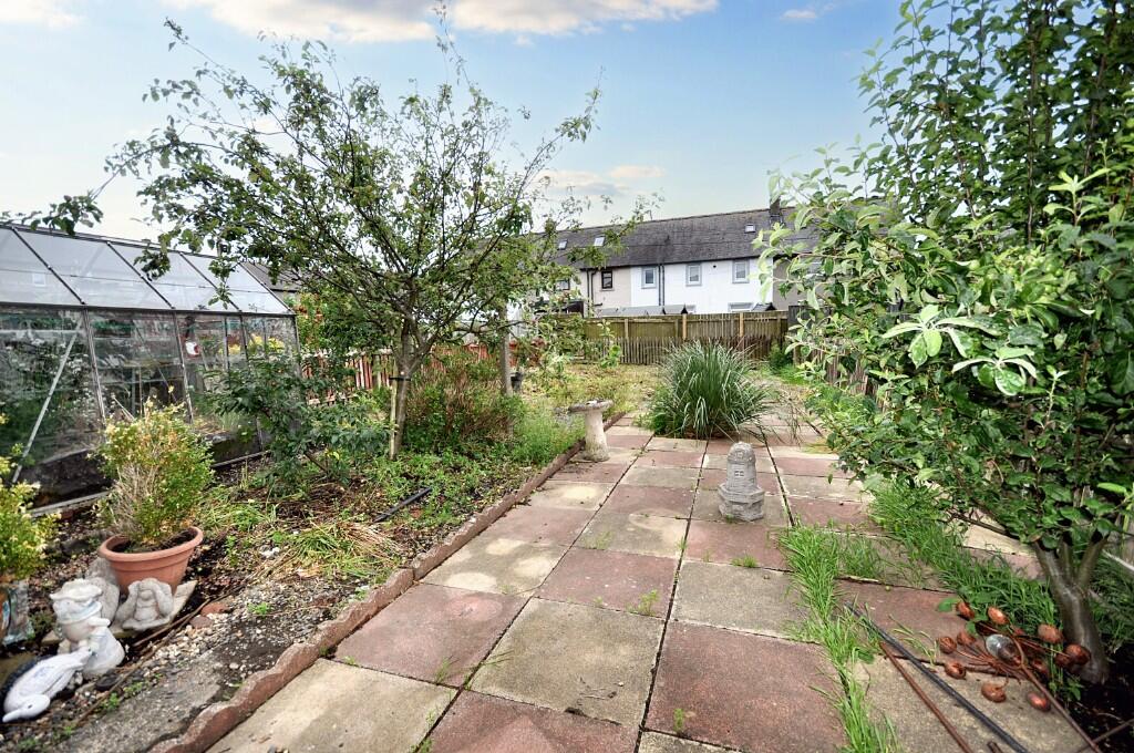 Back Garden