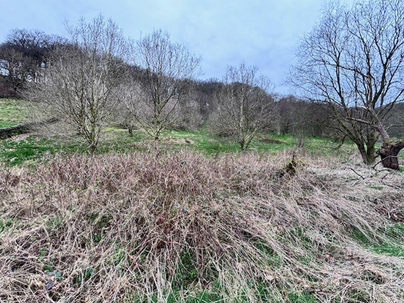 Field