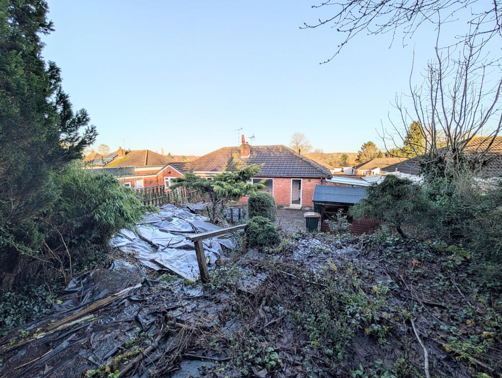 Back Garden