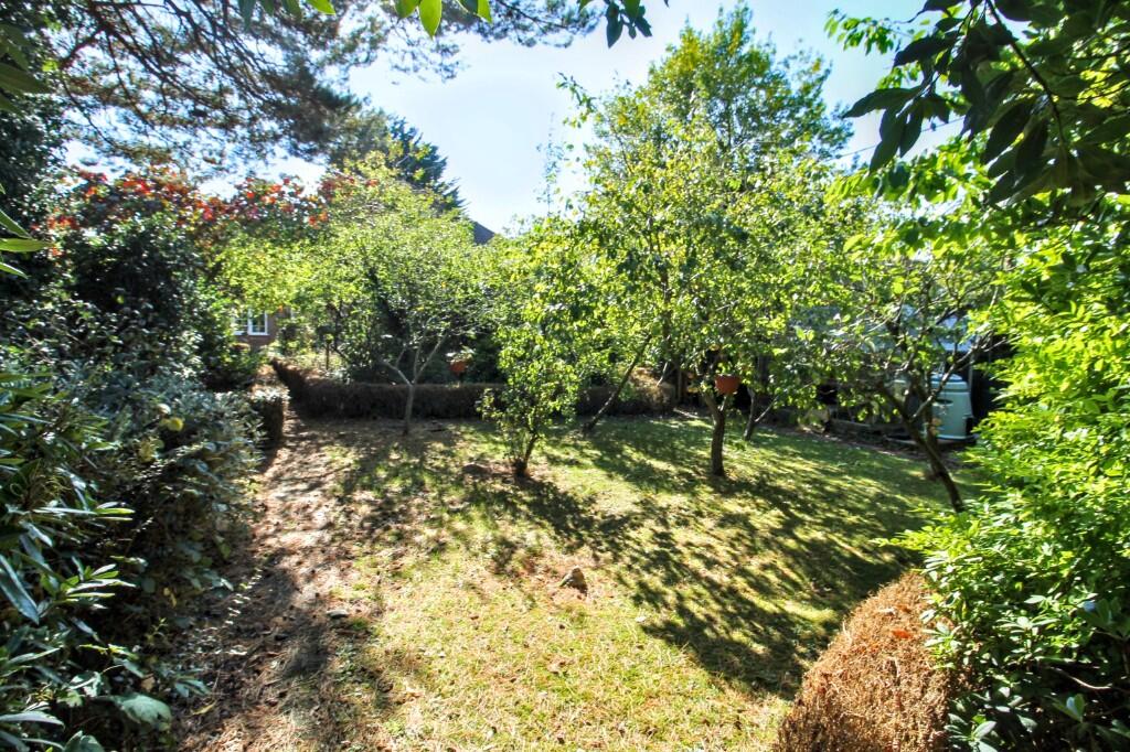 Fruit trees
