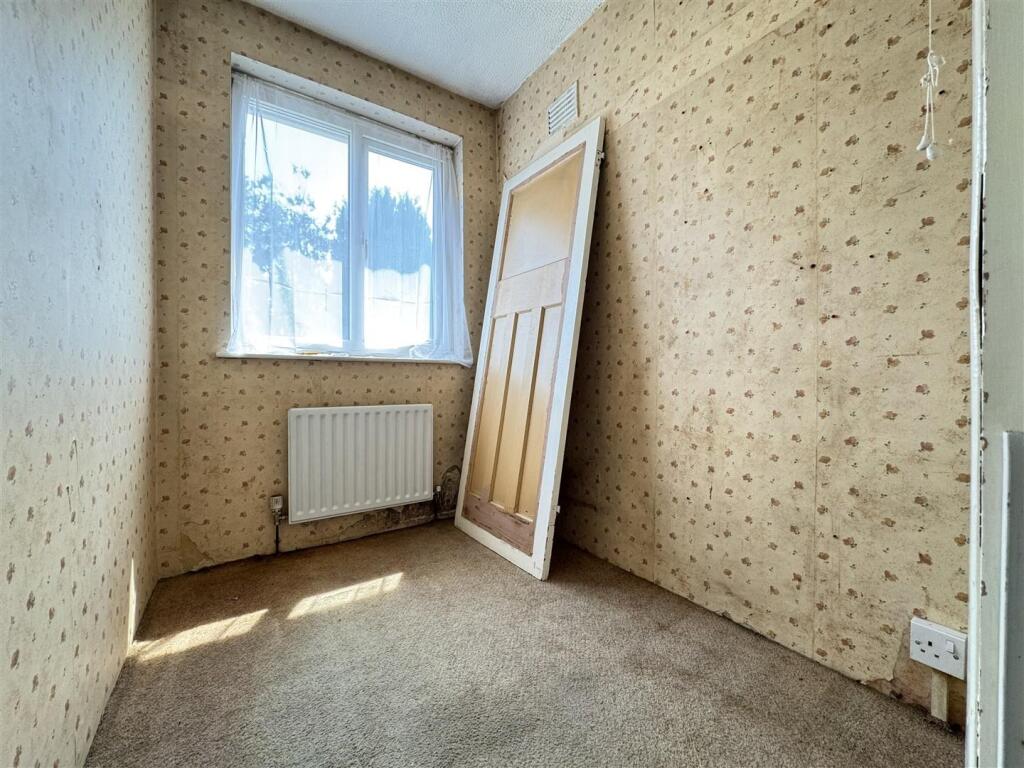 IMG_4299 (Large).JPG