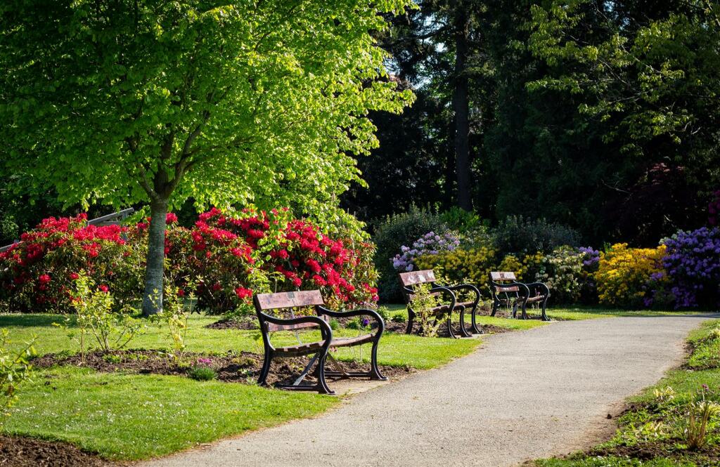 Beech Hurst Gardens nearby