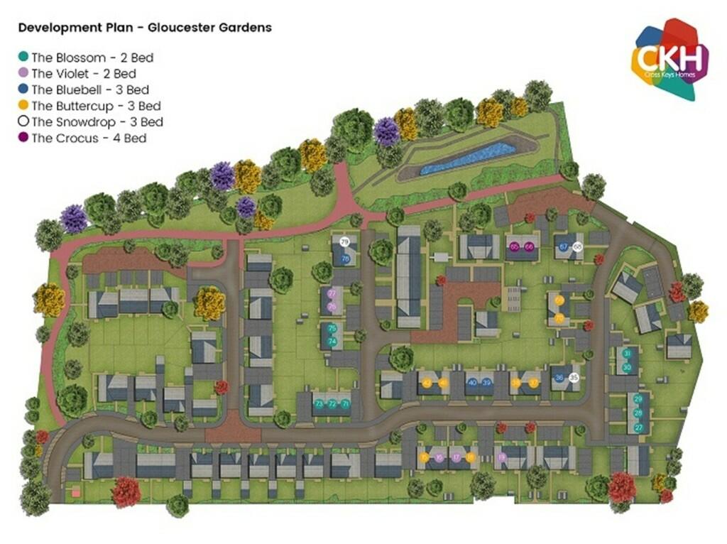 Development Plan