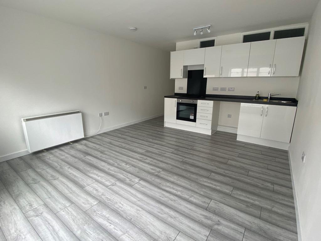 Living and Kitchen Area