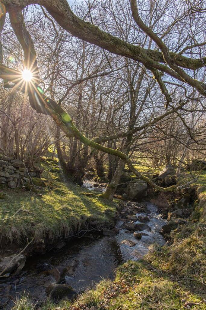 High Gill Beck Farm External-15.jpg