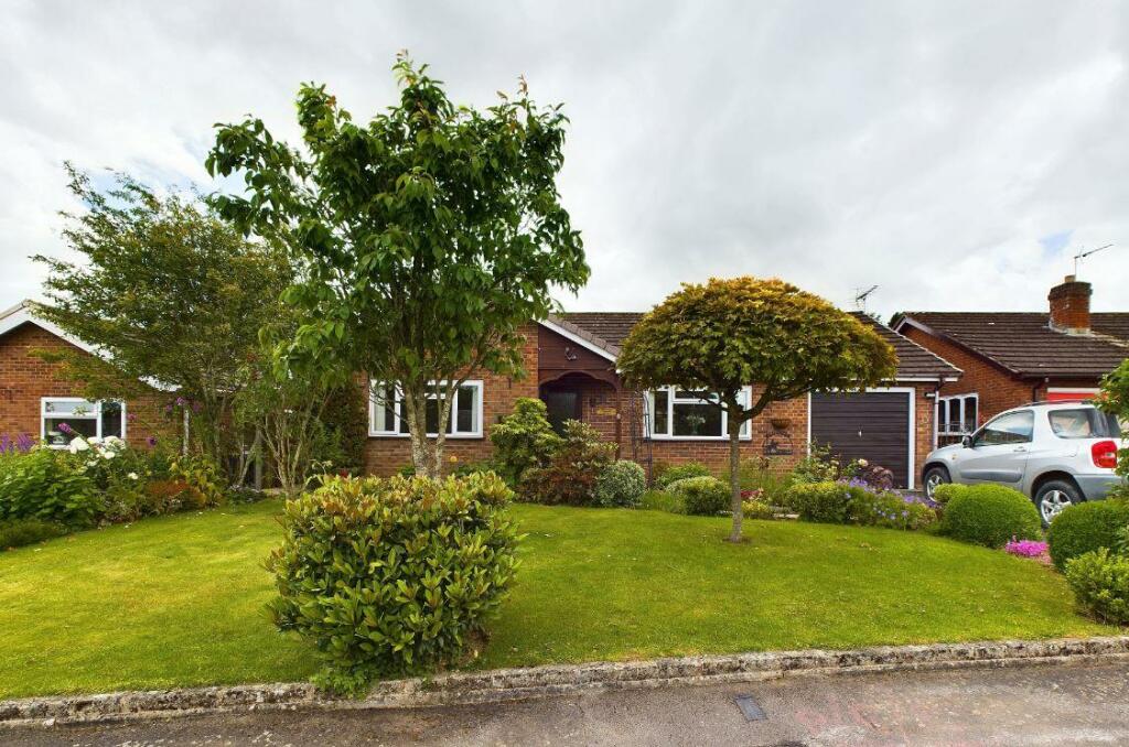 CAM02803G0-PR0098-STILL038 - Cropped.JPG