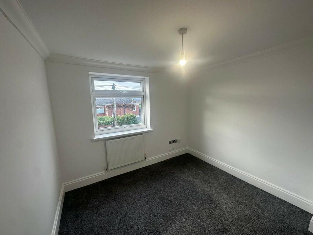 PHOTO-2024-11-15-...