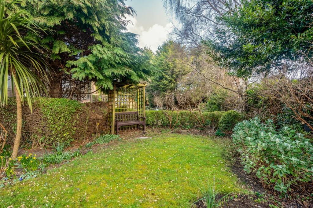 Back Garden 
