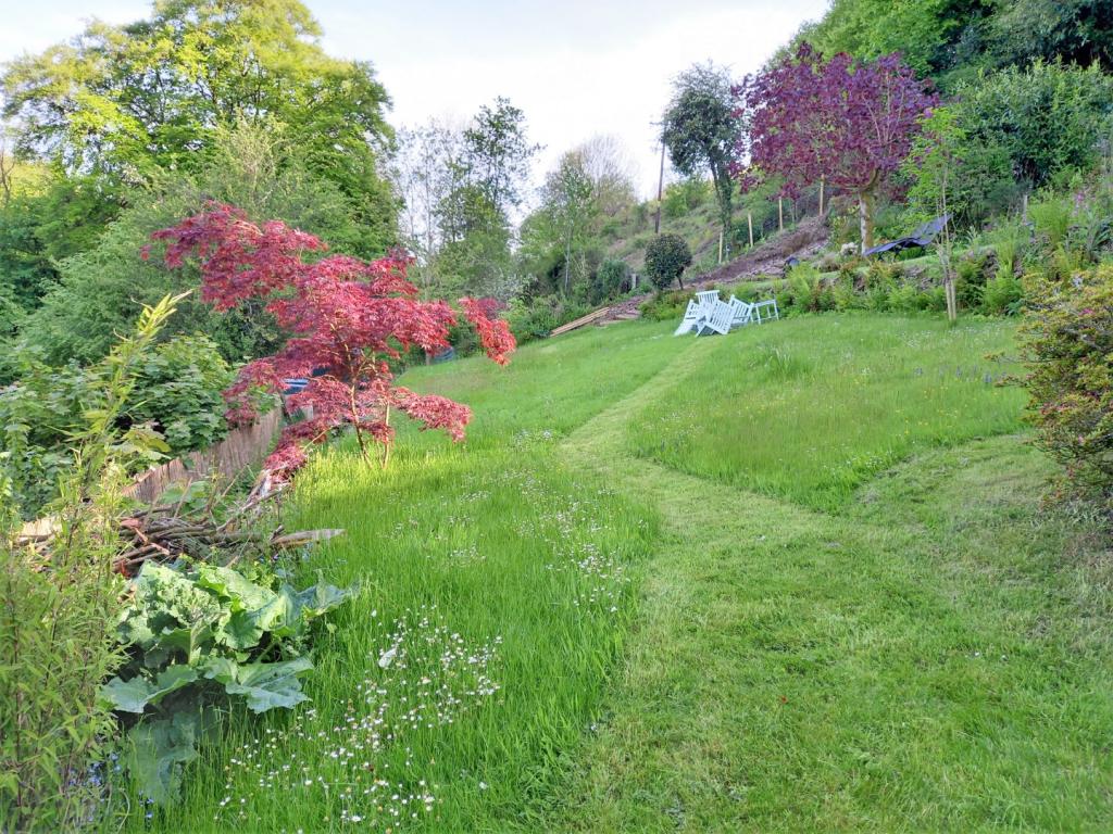 Waterrow Seddons