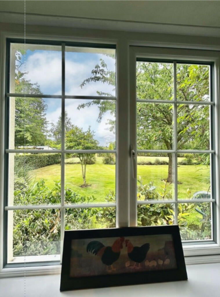 Screenshot window...