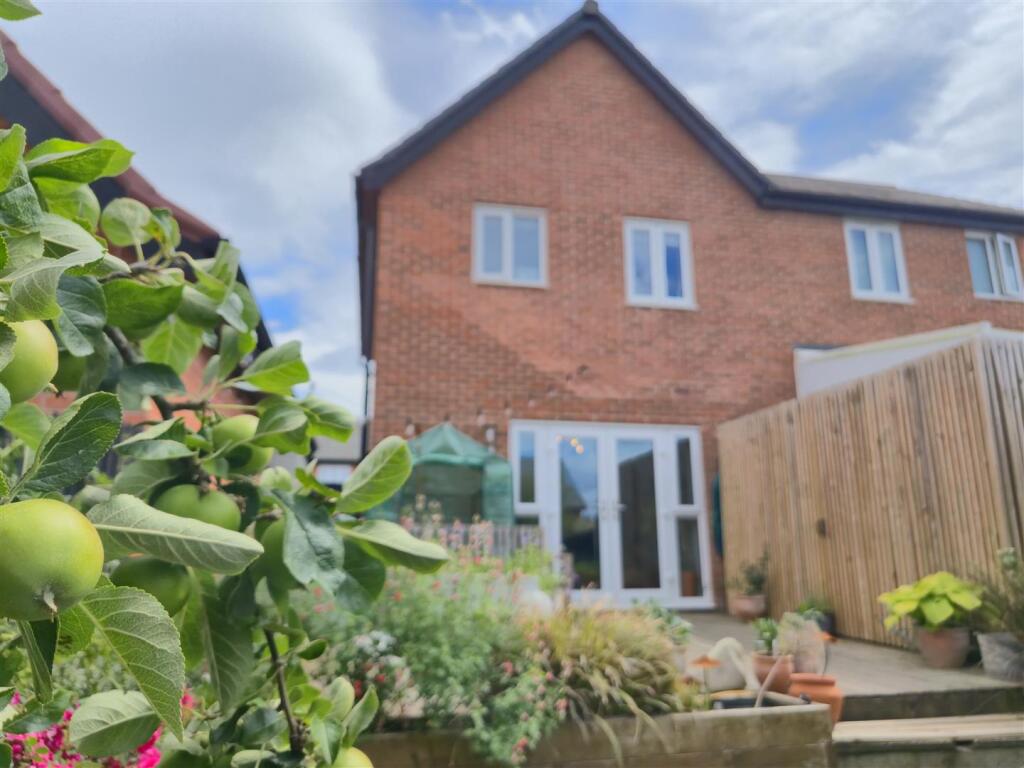 Private Rear Garden
