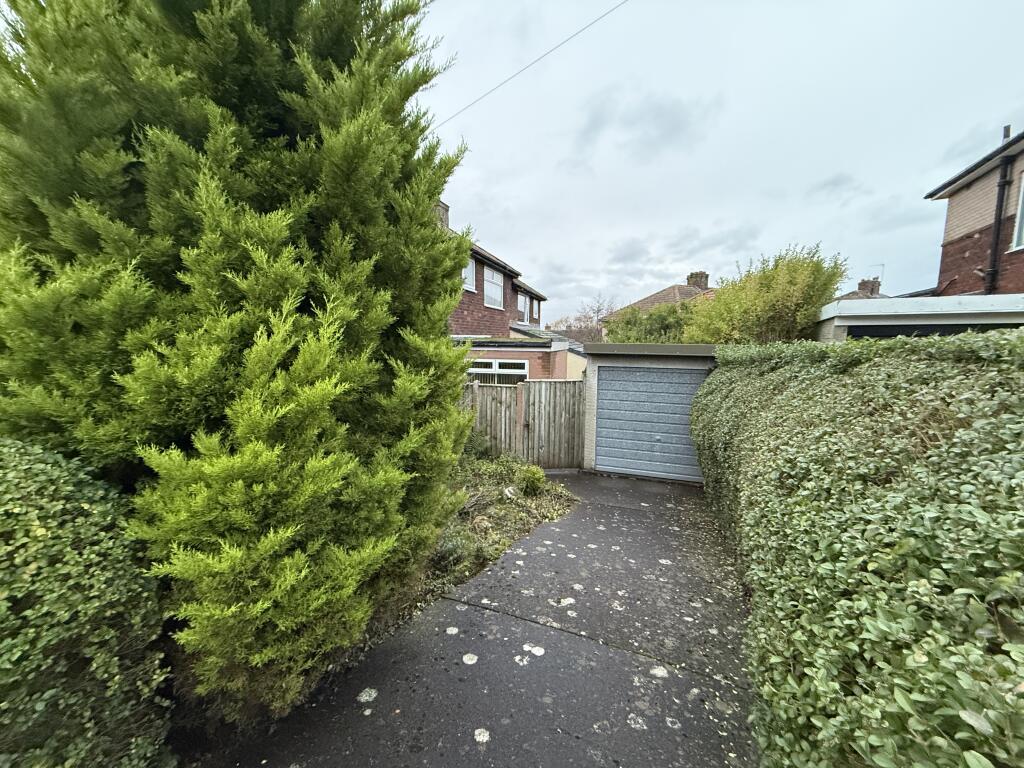 IMG 2008 T202511131625.jpg