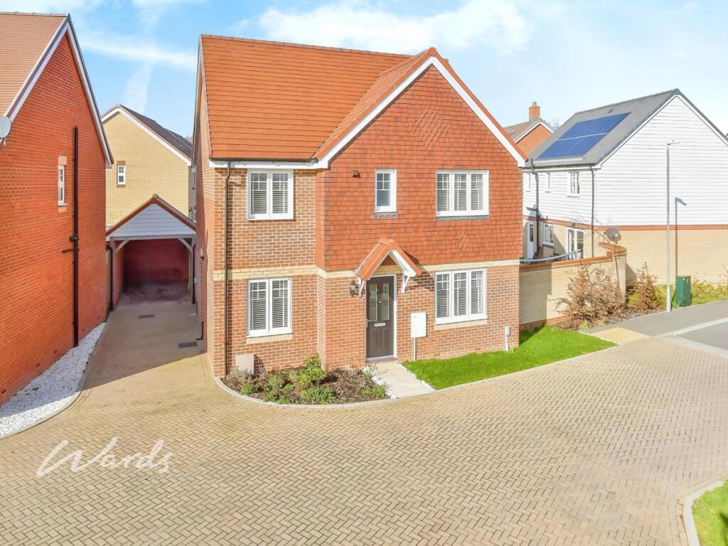 editedimage-58d09...