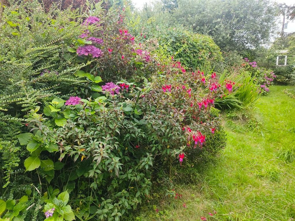 Garden - Another View