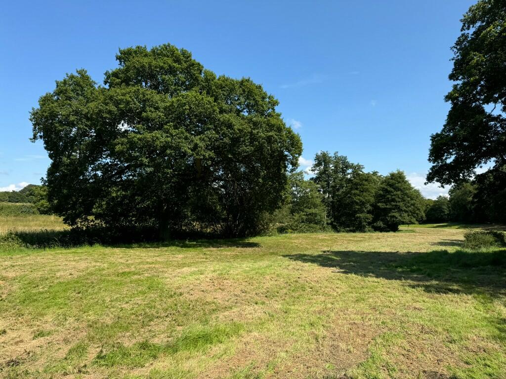 Riverside Meadows