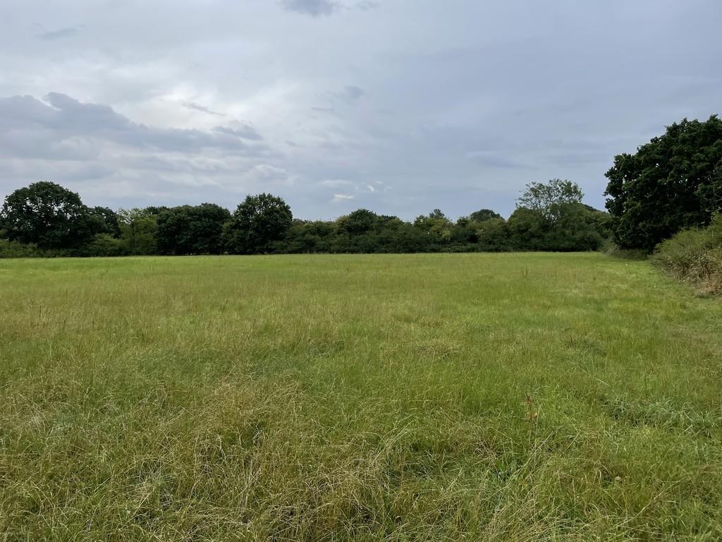 Lot 4