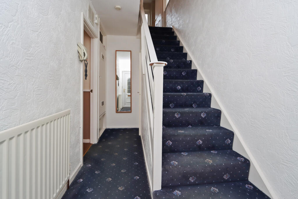 IMG 0732-38163580 T202511241738.jpg