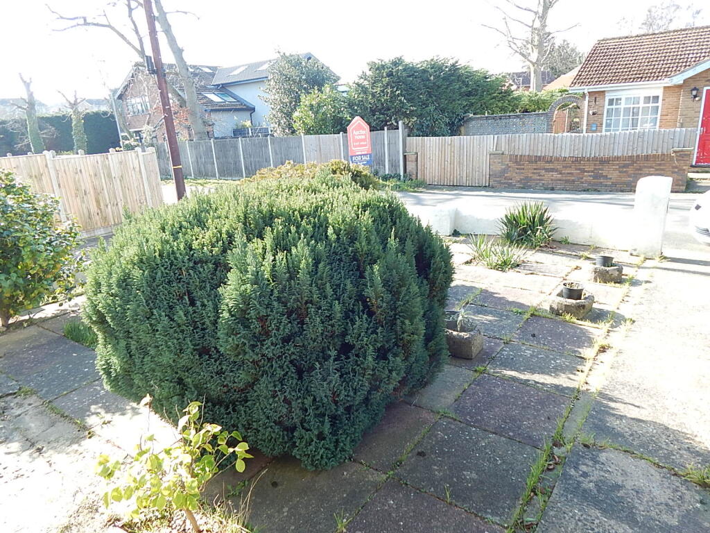 13 T202503071659.jpg