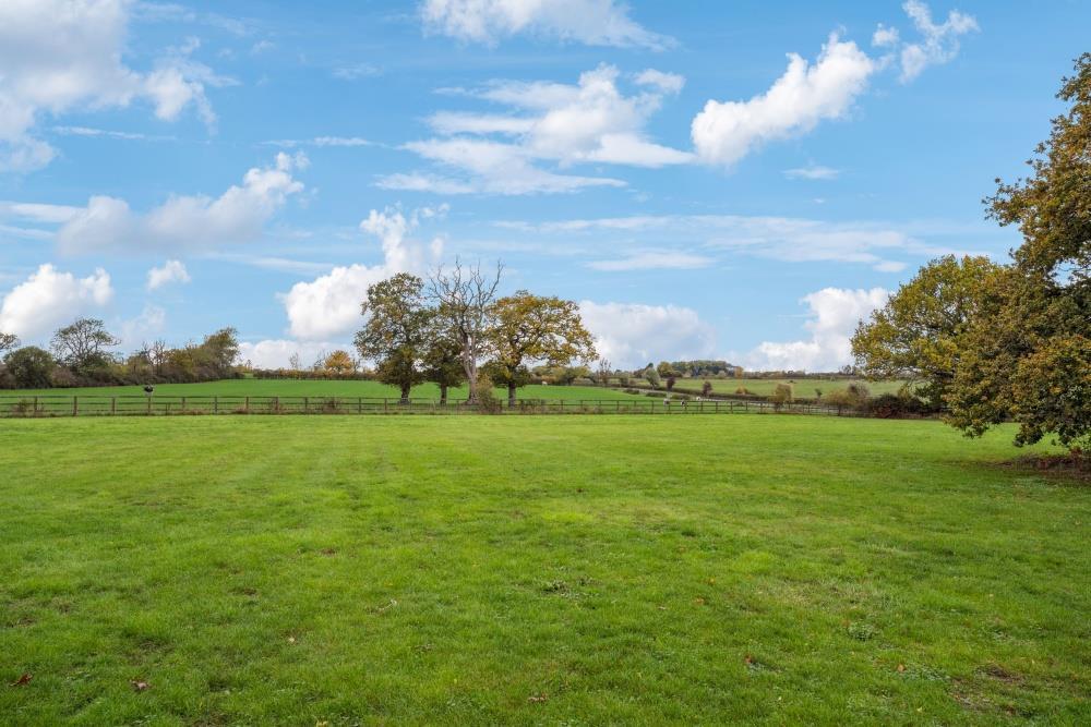 DSC06812-b8aa3cc15b11f60713b00e01d2c9a66c - 800px.