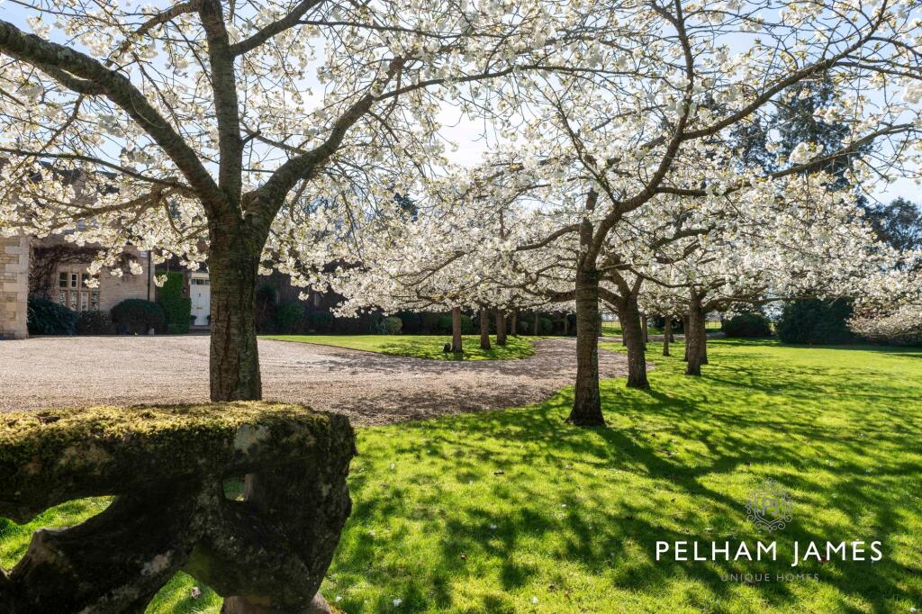 Tree-lined Approach, Uffington Manor, Uffington