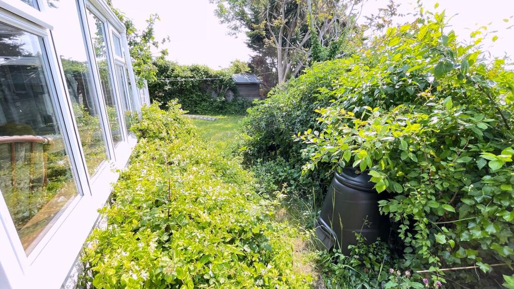 Garden 3