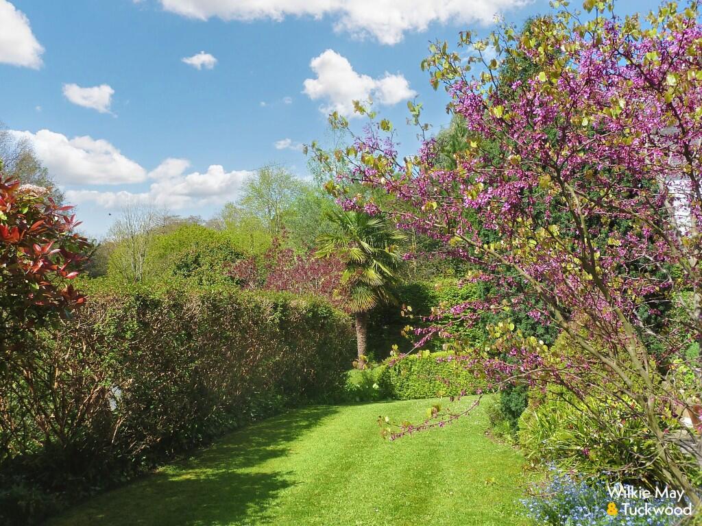 Front garden