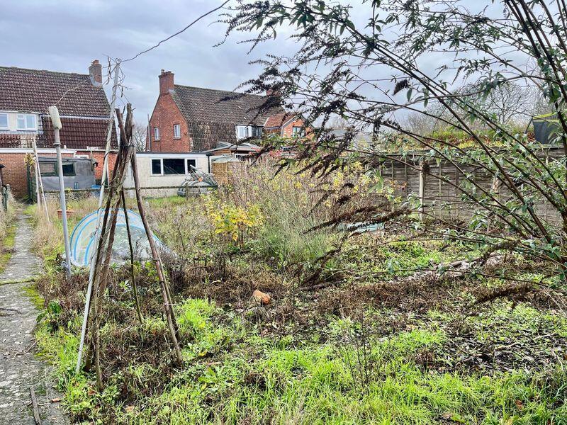 The Rear Garden